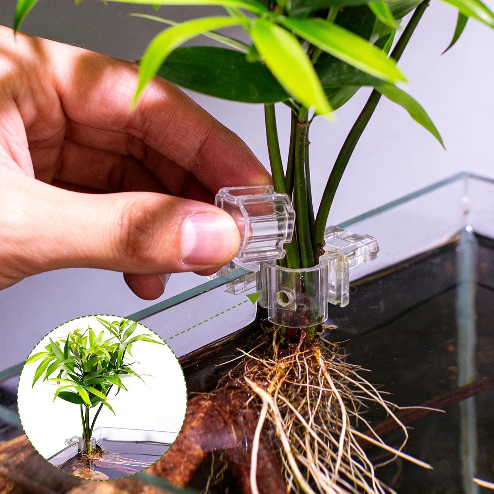 Aquarium Plant Diseases - 6 個の水族館植物ホルダー透明植栽ブラケット吊り下げ可能な植物ホルダーカップ水槽用家庭栽培植栽栽培