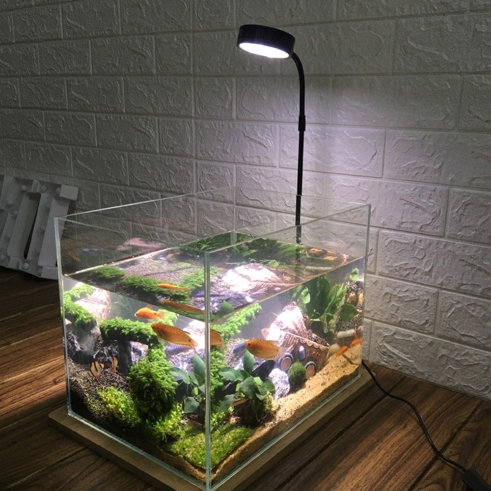 10W 水槽 LED ランプ木板付き多機能水族館景観ライト省 - Aquarium Plant On Wood のレビューと価格