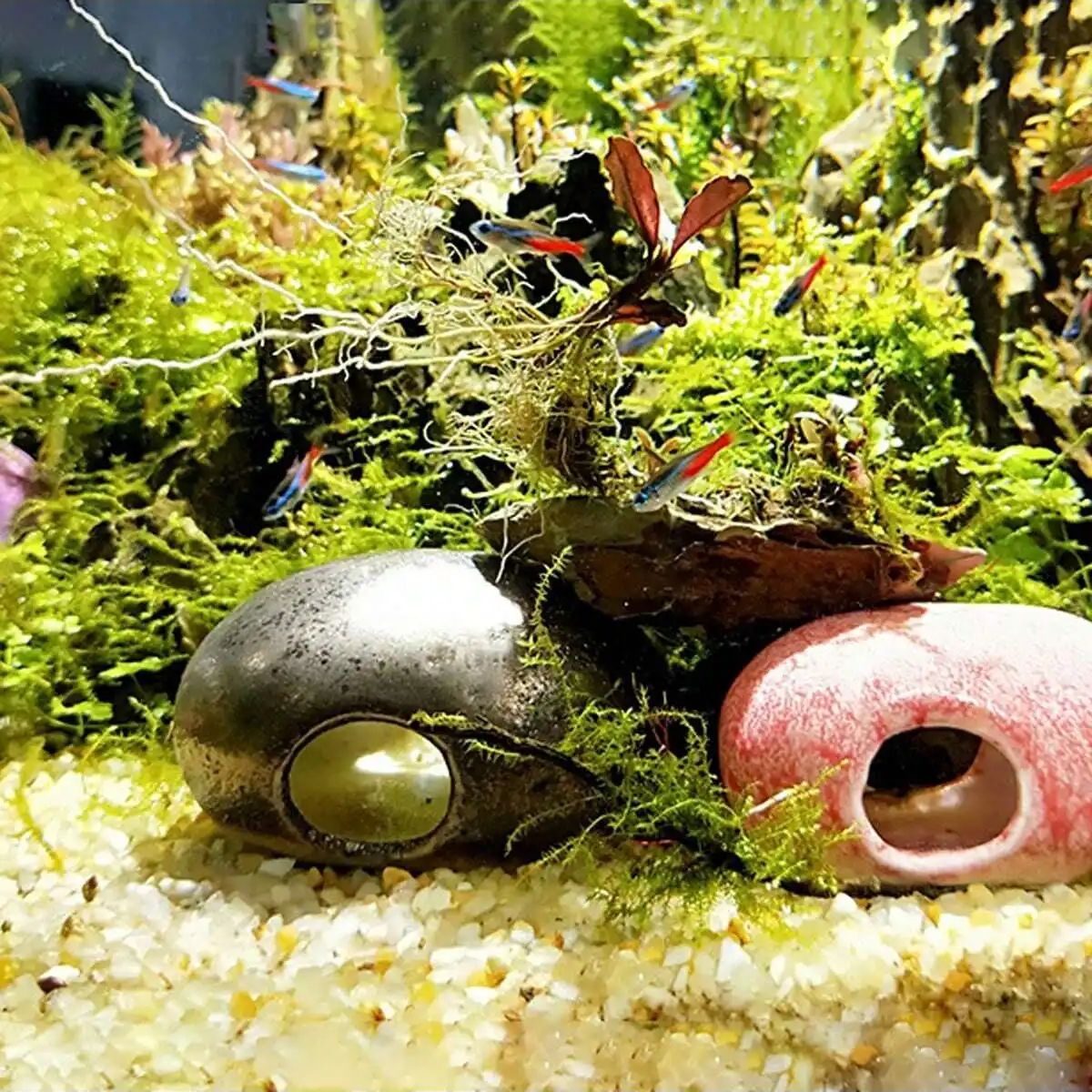 1pc-250 グラム天然結晶砂利石マイクロ風景庭水族館の装 - Aquarium Planted Soil のレビューと価格