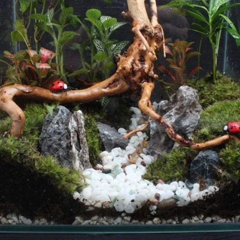 水族館、魚のタンク、爬虫類の根の植物、木の装飾、装飾アクセサ - Aquarium Planted Soil のレビューと価格