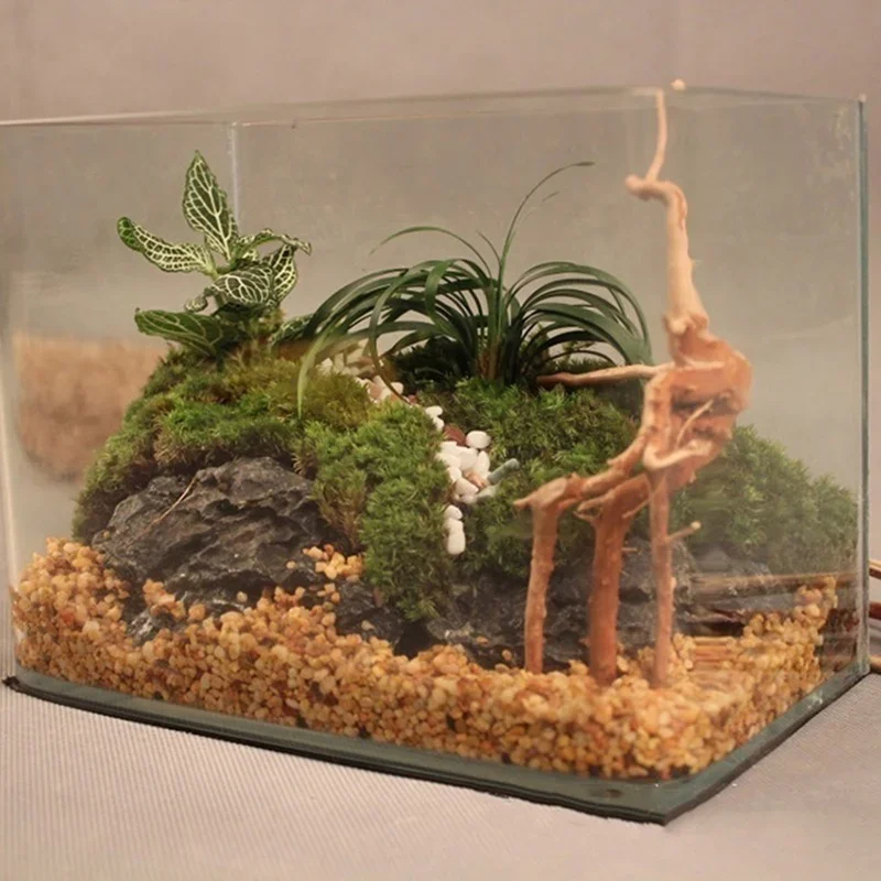 水族館、魚のタンク、爬虫類の根の植物、木の装飾、装飾アクセサ - Aquarium Planted Soil のレビューと価格