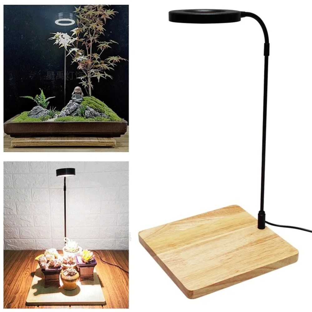 10W水槽植物育成ライト、木製ボード付きLEDライト、LED - Aquarium Plant On Wood のレビューと価格
