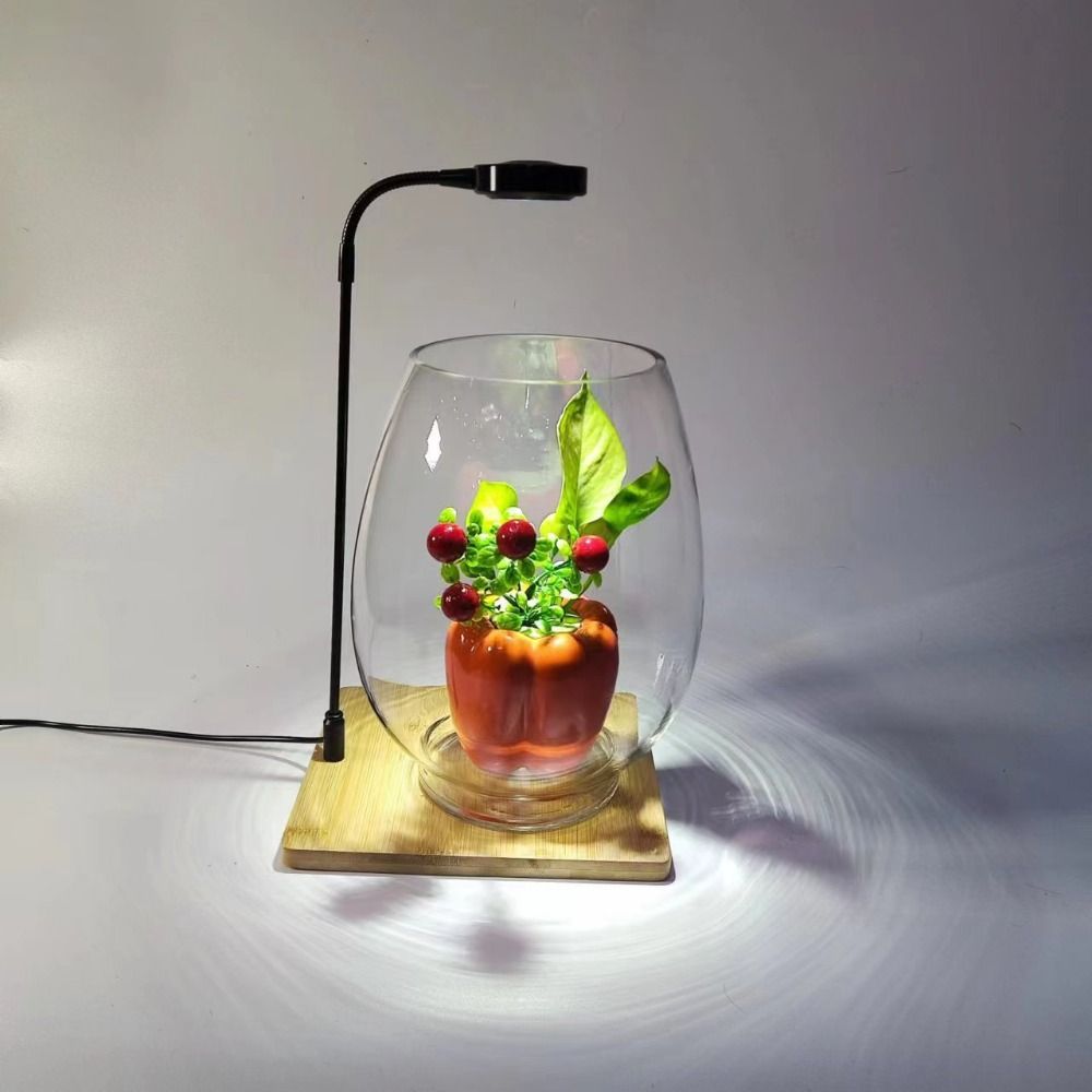 10W水槽植物育成ライト、木製ボード付きLEDライト、LED - Aquarium Plant On Wood のレビューと価格