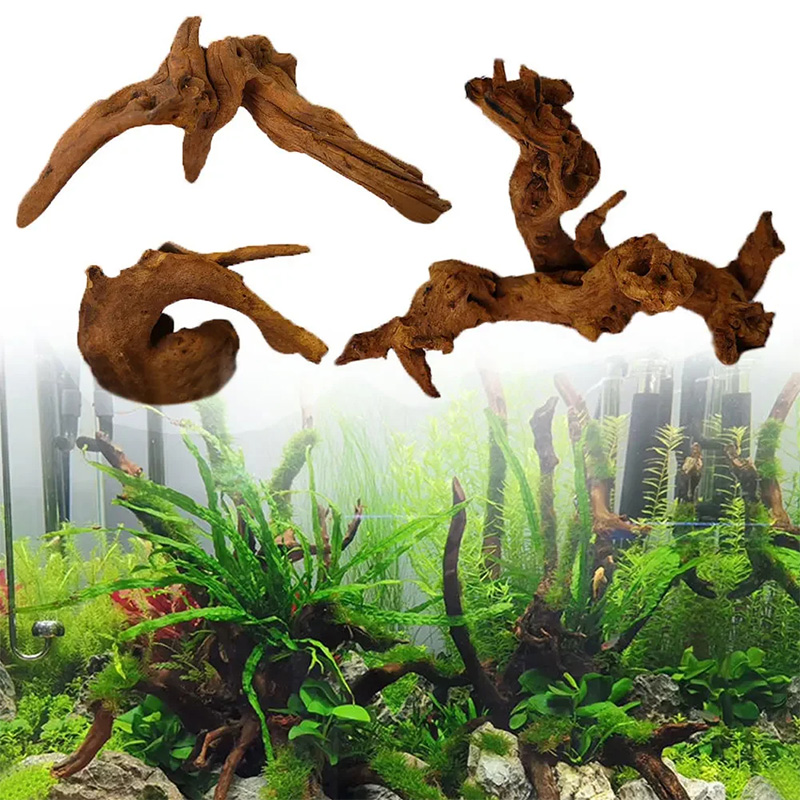 売れ筋商品 新品 魚タンク装飾 水槽レイアウト 天然沈木 天 - Aquarium Planted Soil のレビューと価格