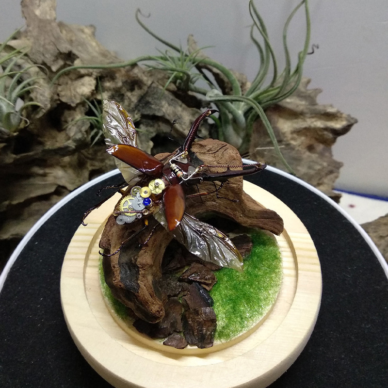 売れ筋商品 新品 魚タンク装飾 水槽レイアウト 天然沈木 天 - Aquarium Planted Soil のレビューと価格
