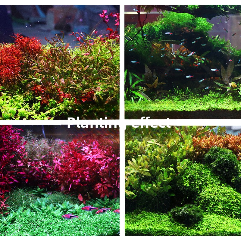 SYSENCIAGA 水草水槽用培地土壌-栄養豊富な底砂-水 - Aquarium Planted Soil のレビューと価格