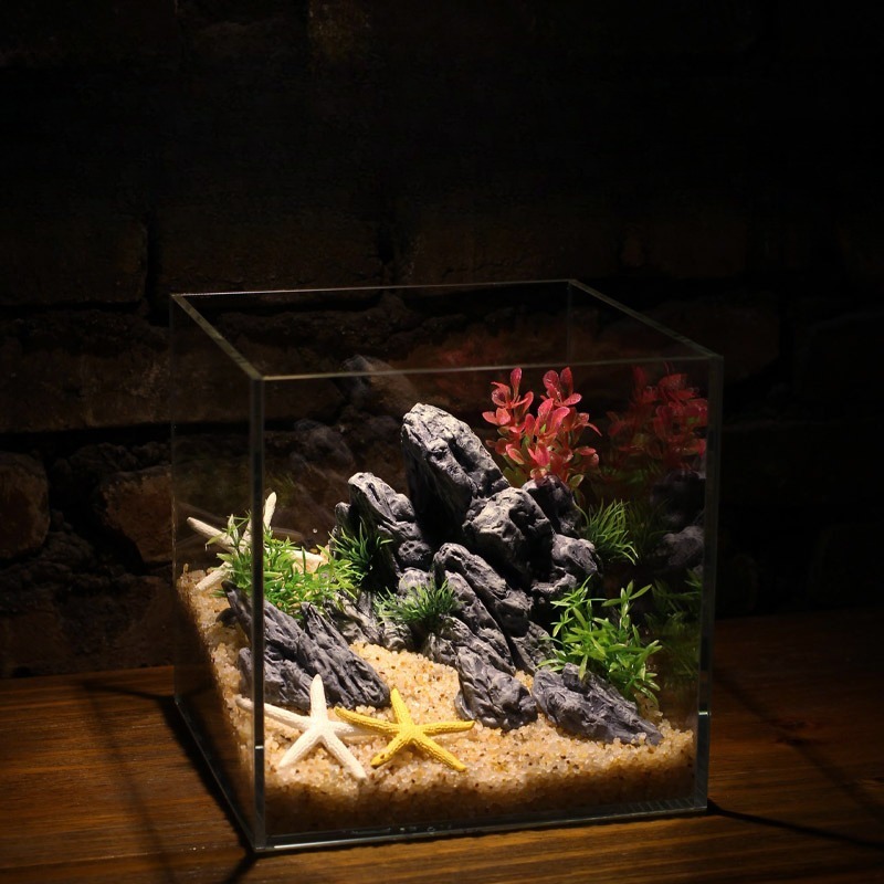 水槽装飾シミュレーション石造りの景石風景水生植物飾り小型水槽 - Aquarium Planted Tank Setup のレビューと価格