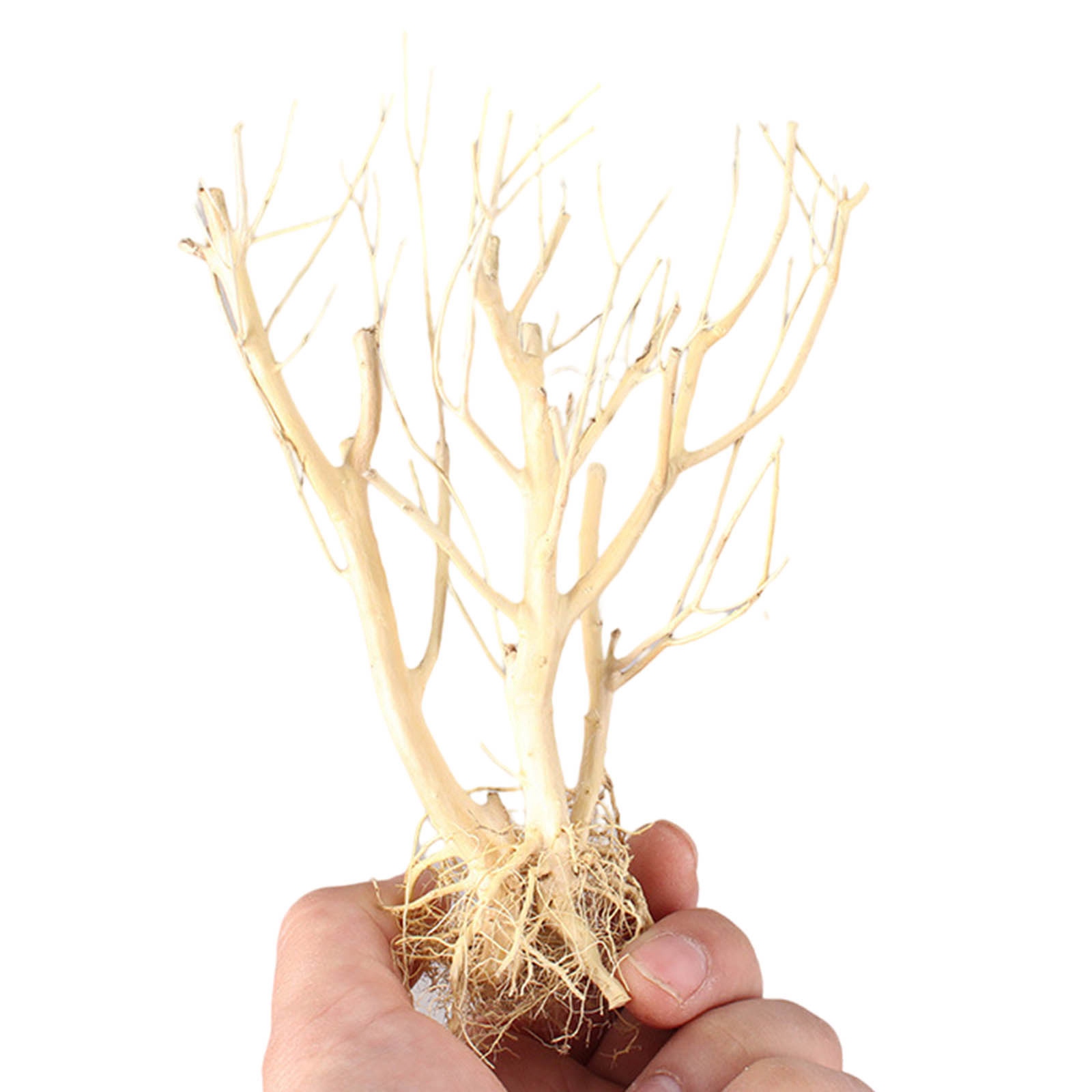 新しいDIY流木水槽モスツリー水槽飾り景観高品質盆栽装飾木製 - Aquarium Plant On Wood のレビューと価格