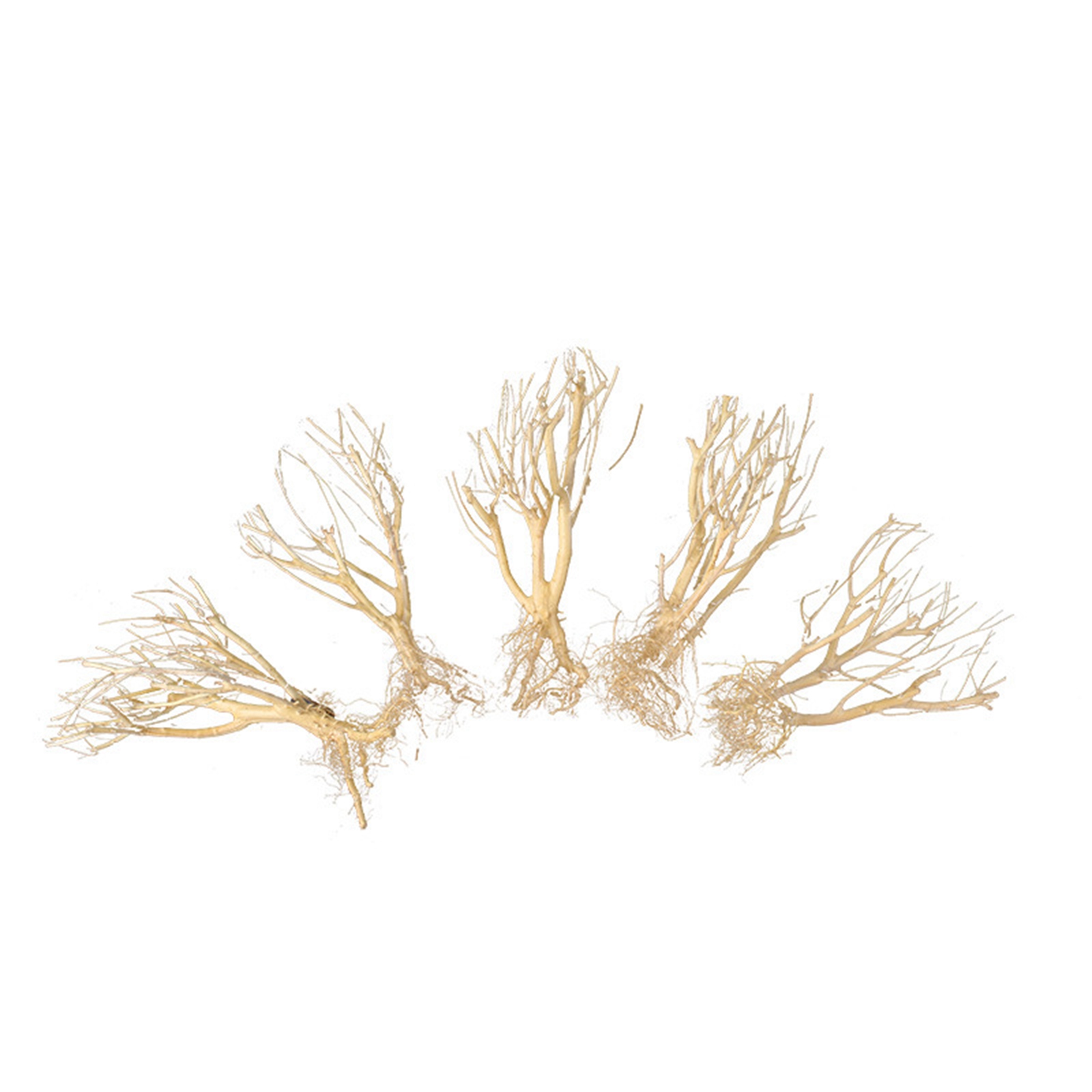 新しいDIY流木水槽モスツリー水槽飾り景観高品質盆栽装飾木製 - Aquarium Plant On Wood のレビューと価格