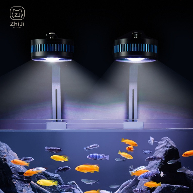 水槽ダウンライト LED フルスペクトル金属水槽ランプクリッ - Aquarium Plant On Wood のレビューと価格