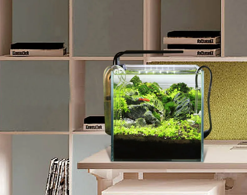 Chihiros C シリーズ ADA スタイル植物成長 L - Aquarium Plant Diseases のレビューと価格