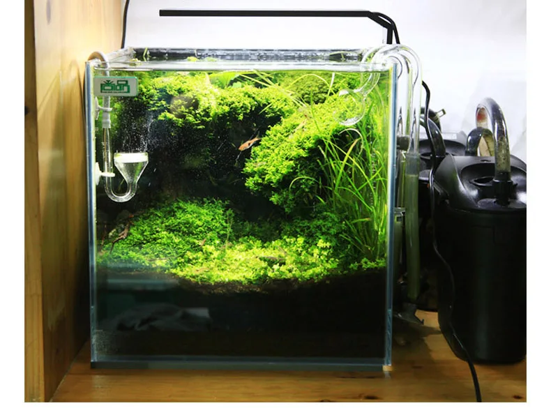 Chihiros C シリーズ ADA スタイル植物成長 L - Aquarium Plant Diseases のレビューと価格
