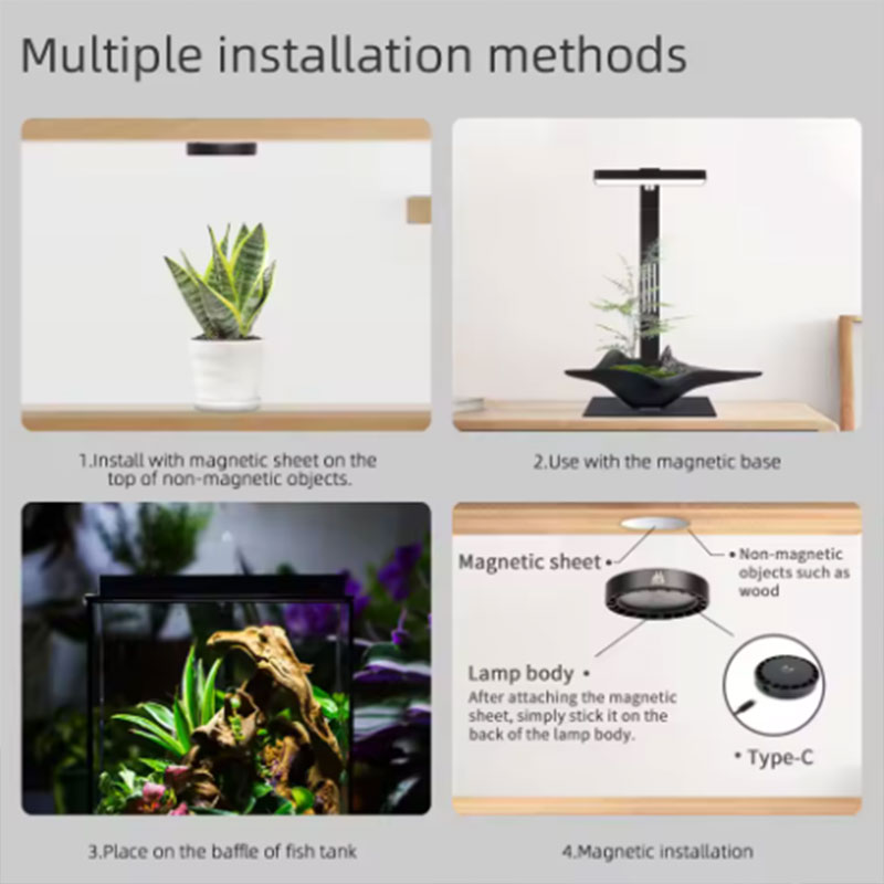 WEEK AQUA Mag Pro Mag Max Nano - Aquarium Plant Diseases のレビューと価格