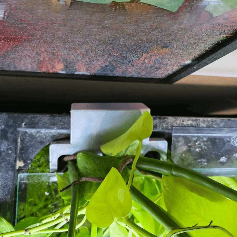 水槽サイドプラントマウントブラケット水槽エッジ水耕栽培プラン - Aquarium Planted Soil のレビューと価格