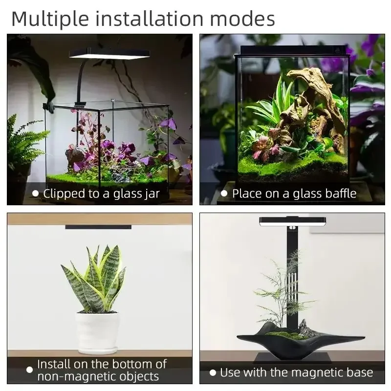 WEEK AQUA Mag Pro USBナノ水槽ライト 水 - Aquarium Plant Diseases のレビューと価格