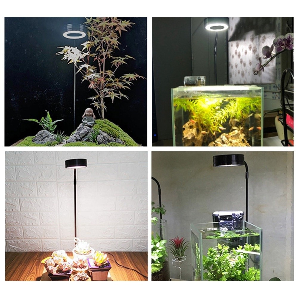 10W水槽用LEDランプ、木製ボード付き、高さ調整可能、水槽 - Aquarium Plant On Wood のレビューと価格