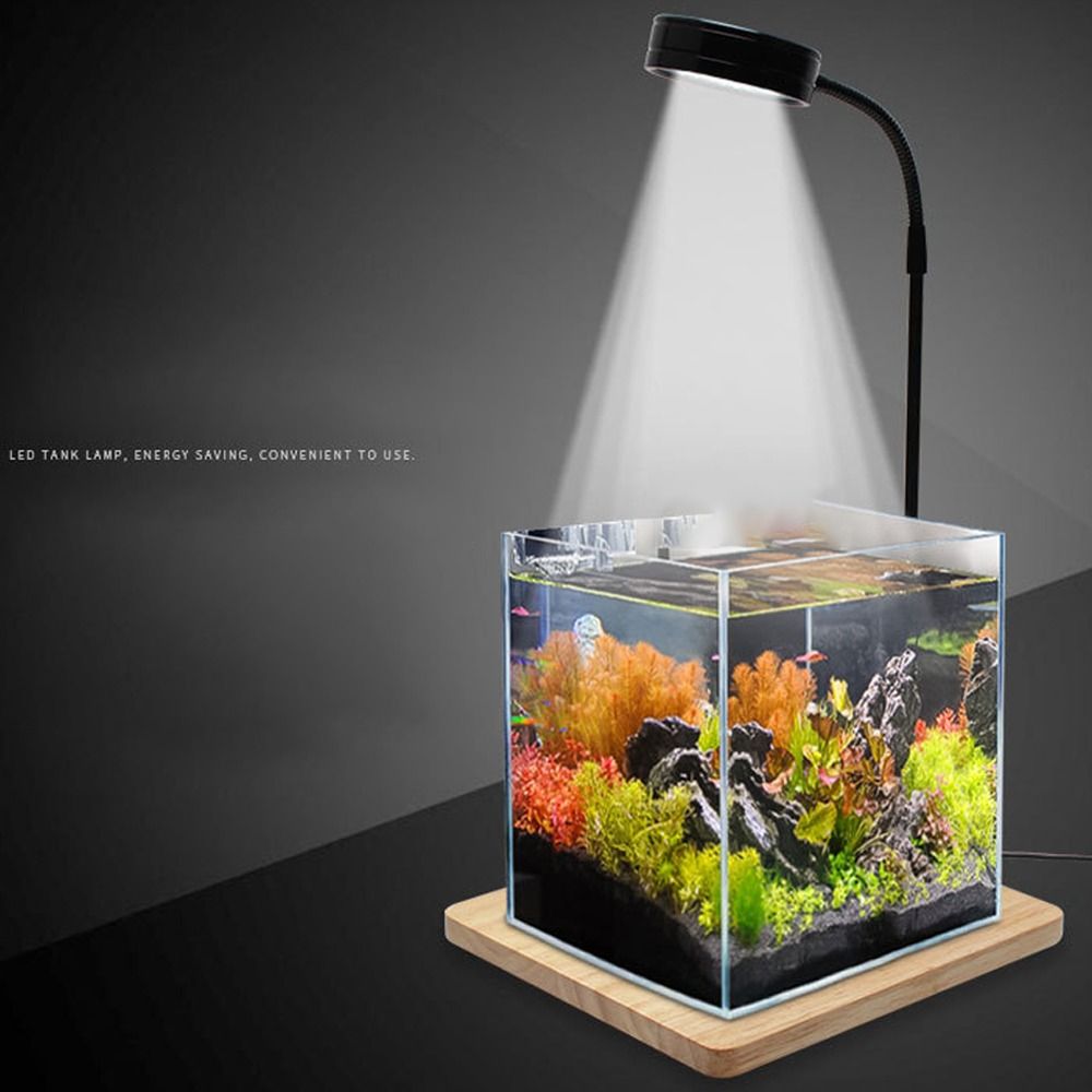 10W水槽用LEDランプ、木製ボード付き、高さ調整可能、水槽 - Aquarium Plant On Wood のレビューと価格