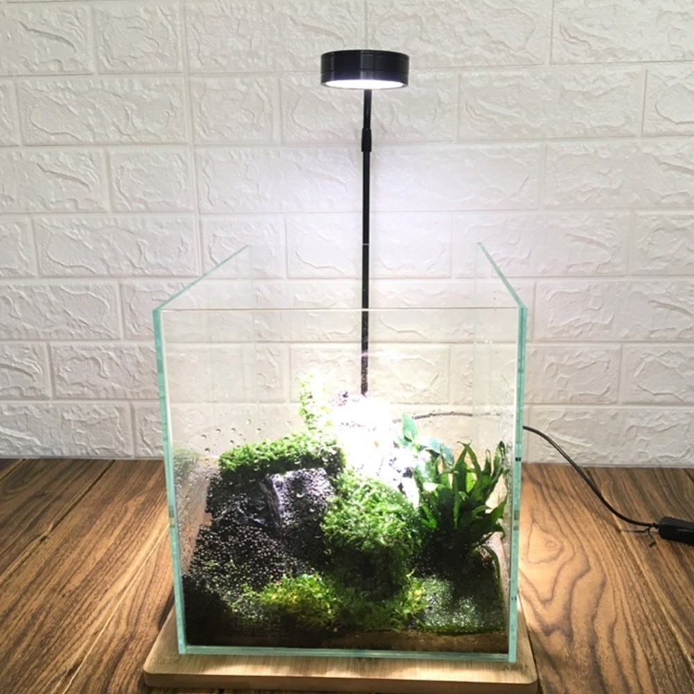 10W水槽用LEDランプ、木製ボード付き、高さ調整可能、水槽 - Aquarium Plant On Wood のレビューと価格