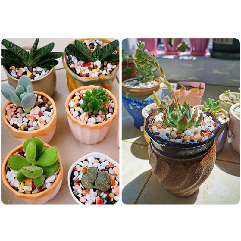 水槽底砂 DIY アクセサリー 200 〜 1000 グラム - Aquarium Planted Soil のレビューと価格