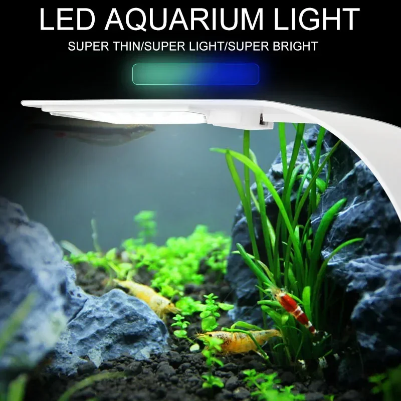 超薄型 LED 水族館ライト 5 ワット/10 ワット/15 - Aquarium Plant Diseases のレビューと価格
