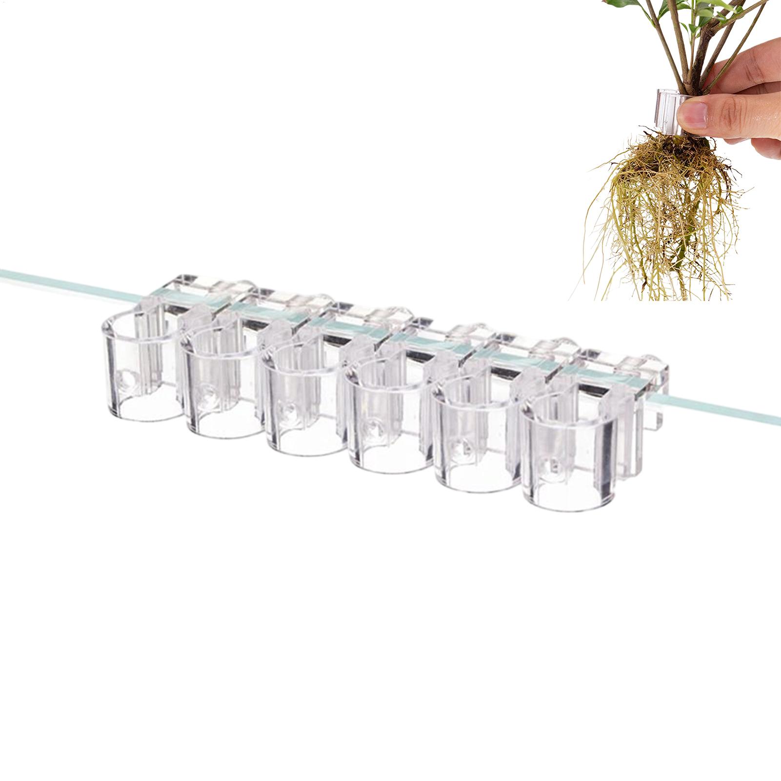 水槽用植物ホルダー 6個入り 透明植栽ブラケット 吊り下げ式 - Aquarium Plant Diseases のレビューと価格